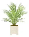 Creative Displays Areca Palm Plant