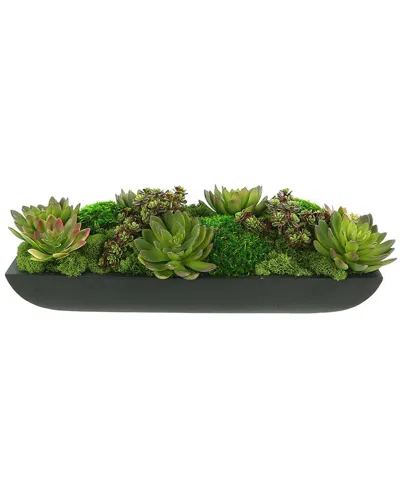 Creative Displays Assorted Moss & Succulents In Fiberstone Planter In Green