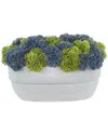 Creative Displays Assorted Sedum In Ceramic Pot In Multi