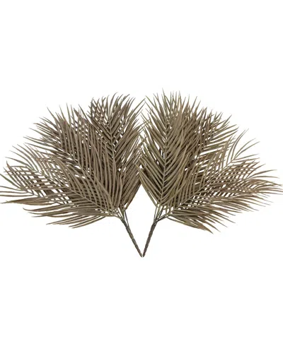 Creative Displays Beige Areca Palm Stem In Brown