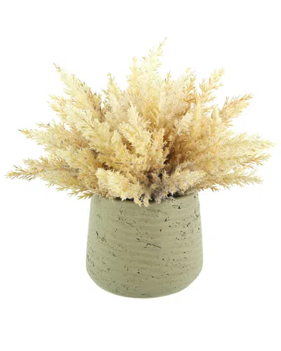 Creative Displays Beige Pampas Arrangement In Green