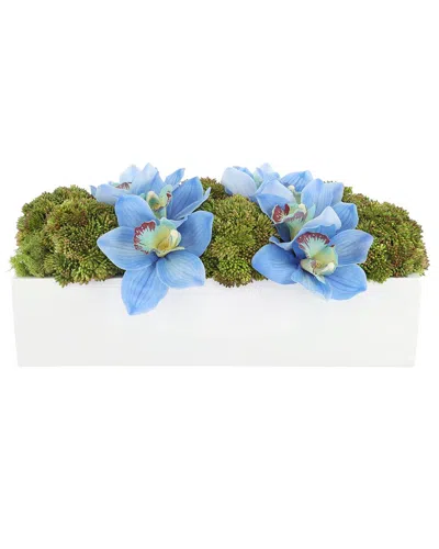 Creative Displays Blue Orchids & Sedum In Modern Fiberstone Planter