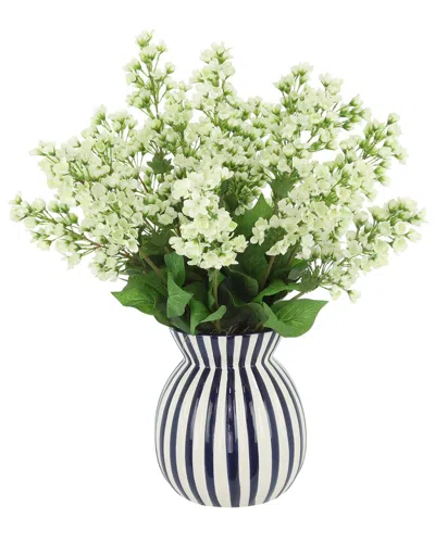 Creative Displays Bouvardia Arranged In Decorative