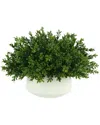 Creative Displays Boxwood Arrangement In Green