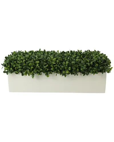 Creative Displays Boxwood Arrangement In Green