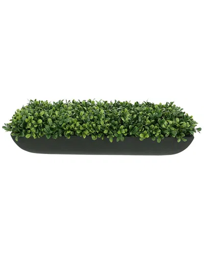 Creative Displays Boxwood Arrangement In Black Fiberstone Planter In Green