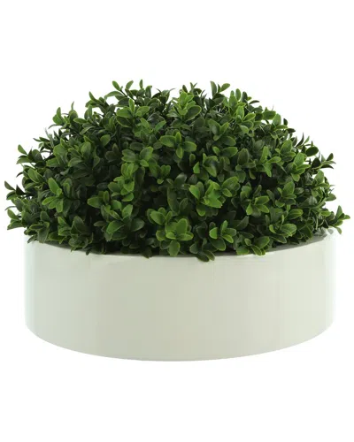 Creative Displays Boxwood Greenery