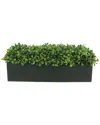 Creative Displays Boxwood Greenery Display In Green