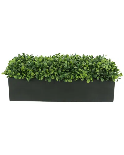 Creative Displays Boxwood Greenery Display