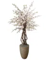 Creative Displays Cherry Blossom & Dragon Wood Tree In Rope Pot In Pink