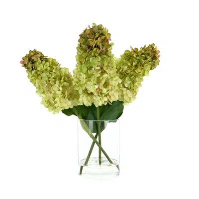 Creative Displays Cone Shaped Hydrangea In Glass Vase With Acrylic Water