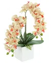 Creative Displays Contemporary Beige Orchid Arrangement In Square Fiberstone Pot In Brown