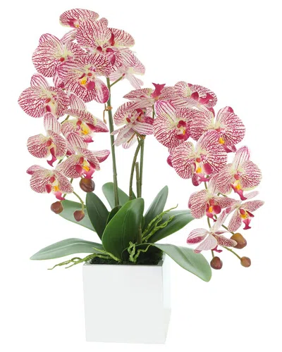 Creative Displays Contemporary Pink Orchid Arrangement In Square Fiberstone  Pot