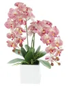 Creative Displays Contemporary Pink Orchid Arrangement In Square Fiberstone Pot In Pink