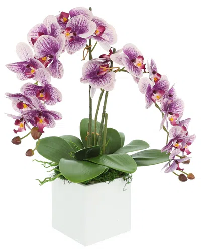 Creative Displays Contemporary Purple Orchid Arrangement In Square Fiberstone  Pot