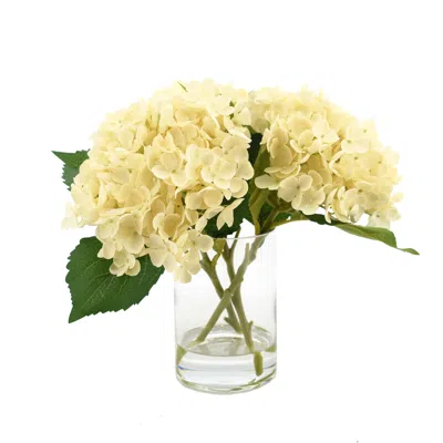 Creative Displays Cream Hydrangea Floral Arrangement In Transparent