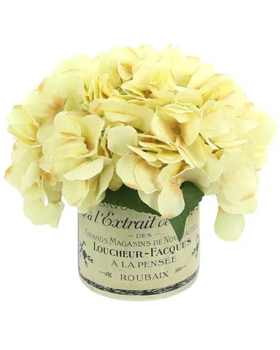 Creative Displays Cream Hydrangeas Arranged In French Labeled Glass Vase In Yellow