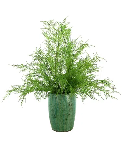 Creative Displays Decorative Fern Arrangement In Green