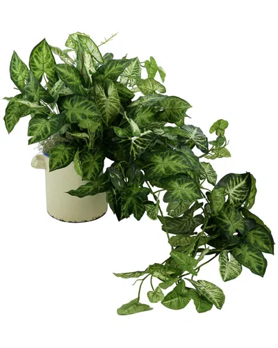 CREATIVE DISPLAYS CREATIVE DISPLAYS DECORATIVE NEPHTHYTIS ARRANGED IN CERAMIC VASE
