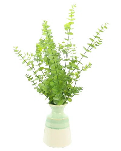 Creative Displays Eucalyptus Plant Arranged In A Seafoam Ceramic Pot In Green
