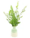 Creative Displays Eucalyptus Plant Arranged In A Seafoam Ceramic Pot In Green
