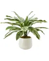 Creative Displays Farmhouse Plant In Multicolor
