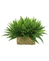 Creative Displays Fern Basket Arrangement In Green