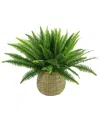 Creative Displays Fern Floral Display In Green