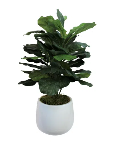 Creative Displays Fiddle Leaf Plant In Green