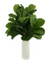 Creative Displays Fiddle Leaf Plant In Green
