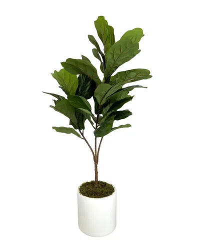 Creative Displays Fiddle Leaf Tree In Multi
