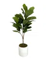 Creative Displays Fiddle Leaf Tree In Green