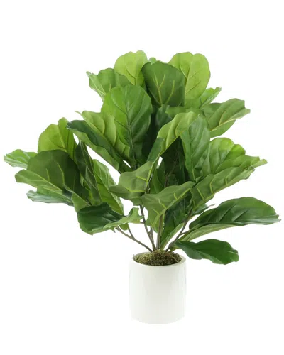 Creative Displays Fiddle Leaves Arranged In A White Fiberstone Pot