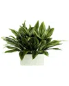 Creative Displays Foliage Arranged In A White Rectangular Planter In Green