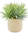 Creative Displays Green & White Plant In Glass Vase With Shells