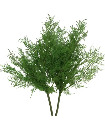 Creative Displays Green Asparagus Fern Stem