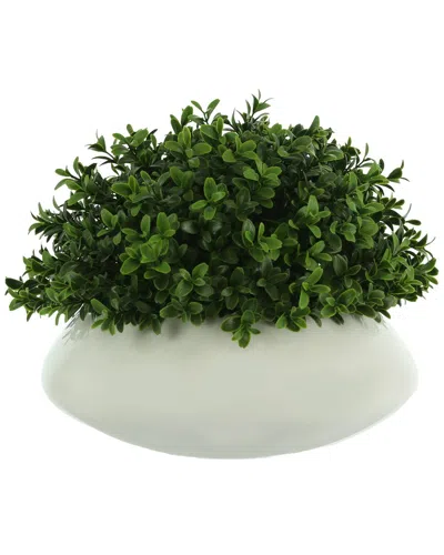 Creative Displays Green Boxwood Bush