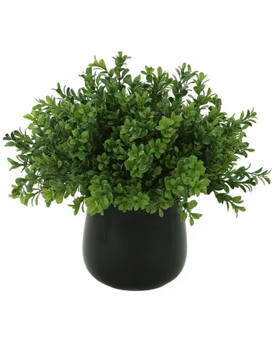 Creative Displays Green Boxwood Floral Arrangement