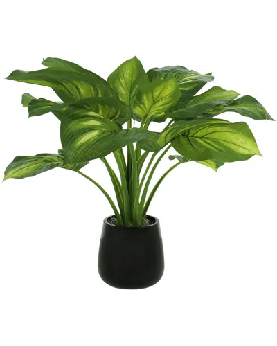 Creative Displays Green Eva Host Plant In Multicolor