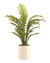 Creative Displays Green Fern Arrangement In Green