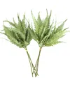 Creative Displays Green Fern Bundle In Green
