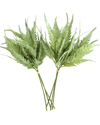 Creative Displays Green Fern Bundle