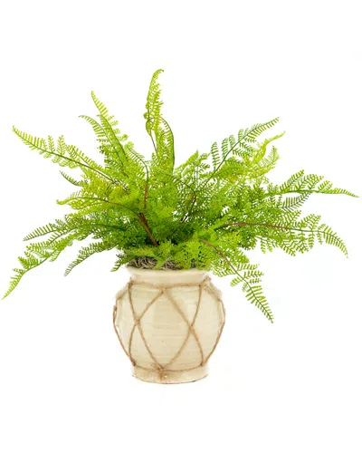 Creative Displays Green Fern Bush In Multi
