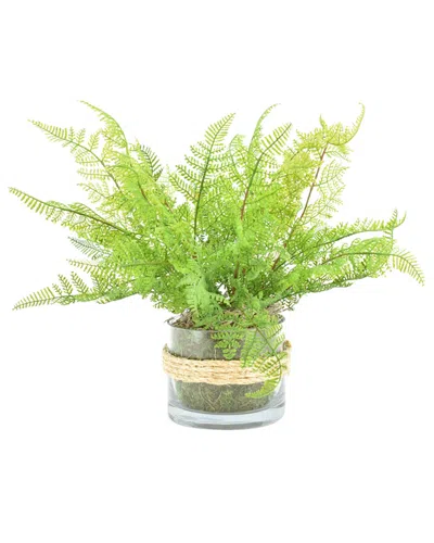 Creative Displays Green Fern Bush Arrangement