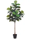 Creative Displays Green Fiddle Leaf Fig Tree In Green