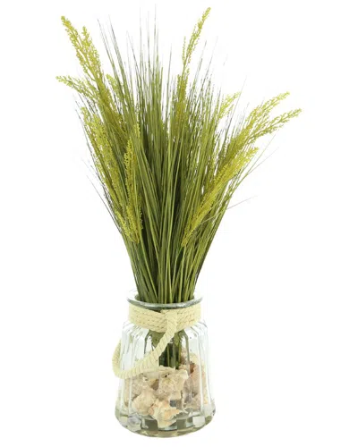 Creative Displays Green Grass Arrangement With Shells In Glass Vase With Rope  Handle
