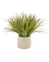 Creative Displays Green Grass Bush