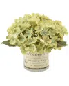 Creative Displays Green Hydrangea Floral Arrangement