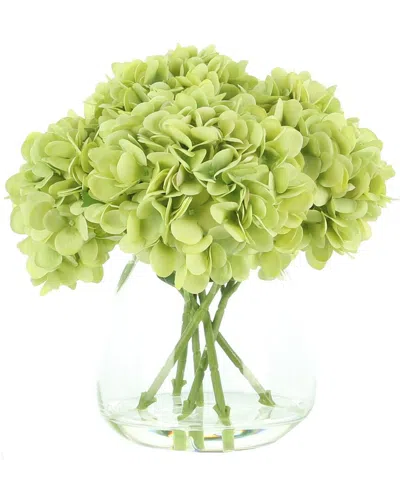 Creative Displays Green Hydrangea In Acrylic Water In Multi