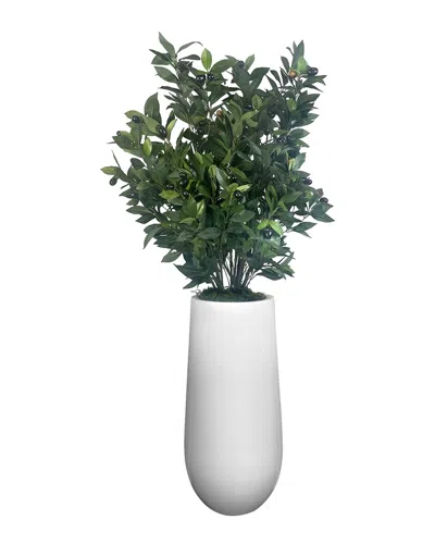 Creative Displays Green Olive Tree In Fiberstone Planter In Multi
